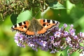 01 09 16_0517_edited-1